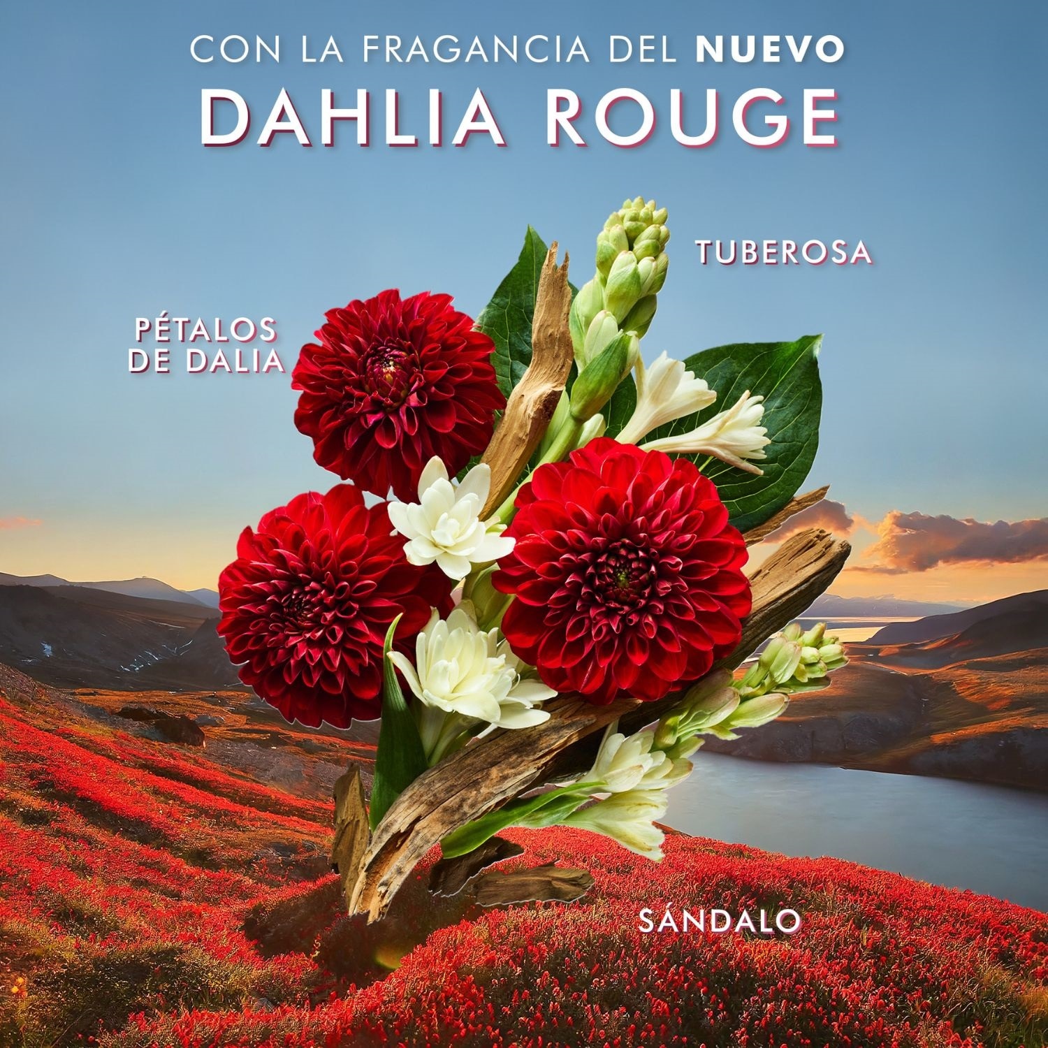 HAND CREAM DAHLIA ROUGE (CREMA PARA MANOS)